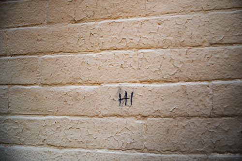 Sleepy Hollow, NY - Oct 2025